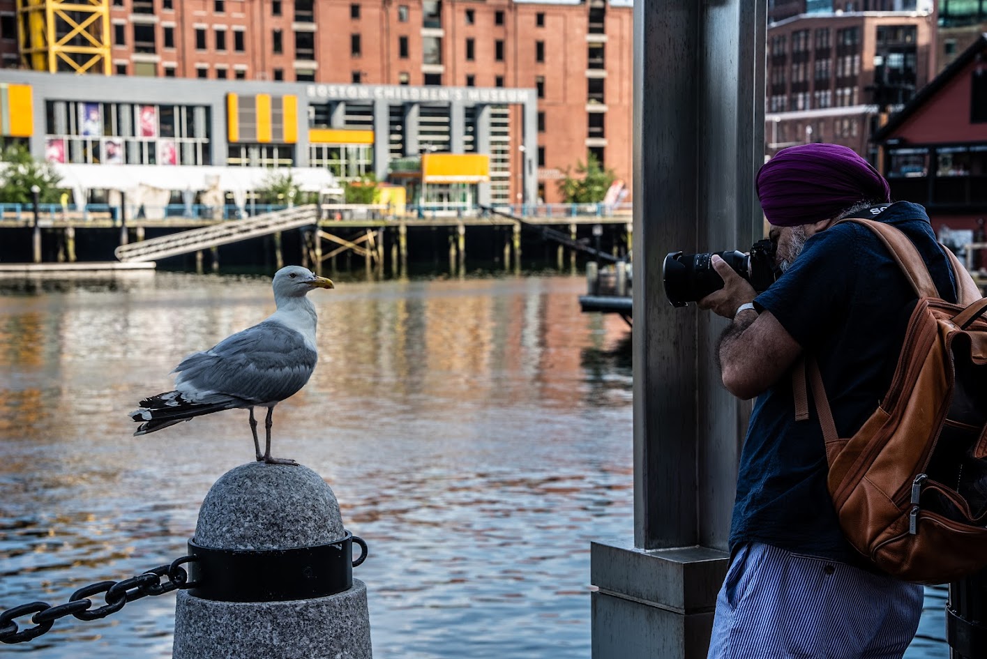 Dr. Harpreet Singh photography